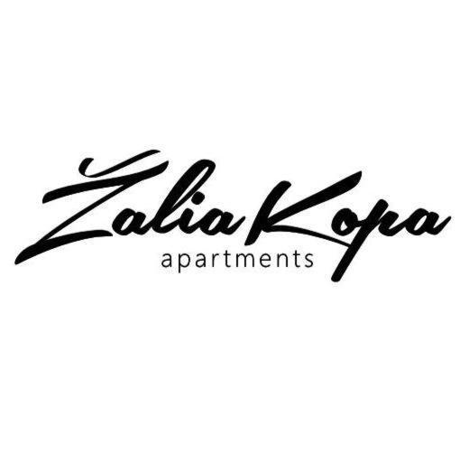 Zalia Kopa Apartamentai Salia Juros Połąga Zewnętrze zdjęcie